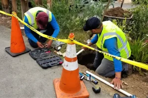 how long do sewer lines last